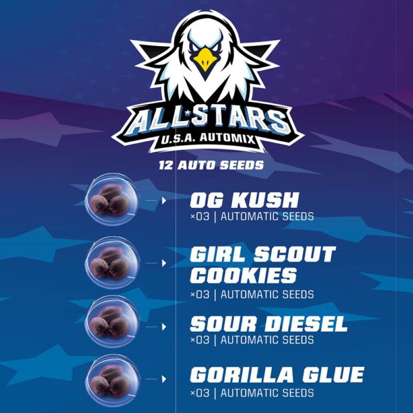 ALL STARS USA AUTOMIX - Imagen 2