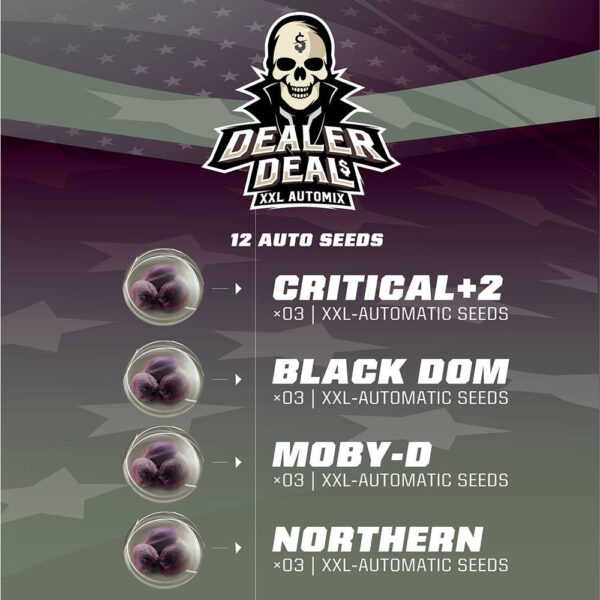 DEALER DEAL XXL AUTOMIX - Imagen 2