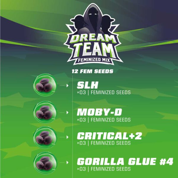 DREAM TEAM FEMINIZED MIX - Imagen 2