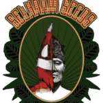 Speedy haze Auto-Selknam