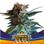 Gorilla Glue Auto - X4