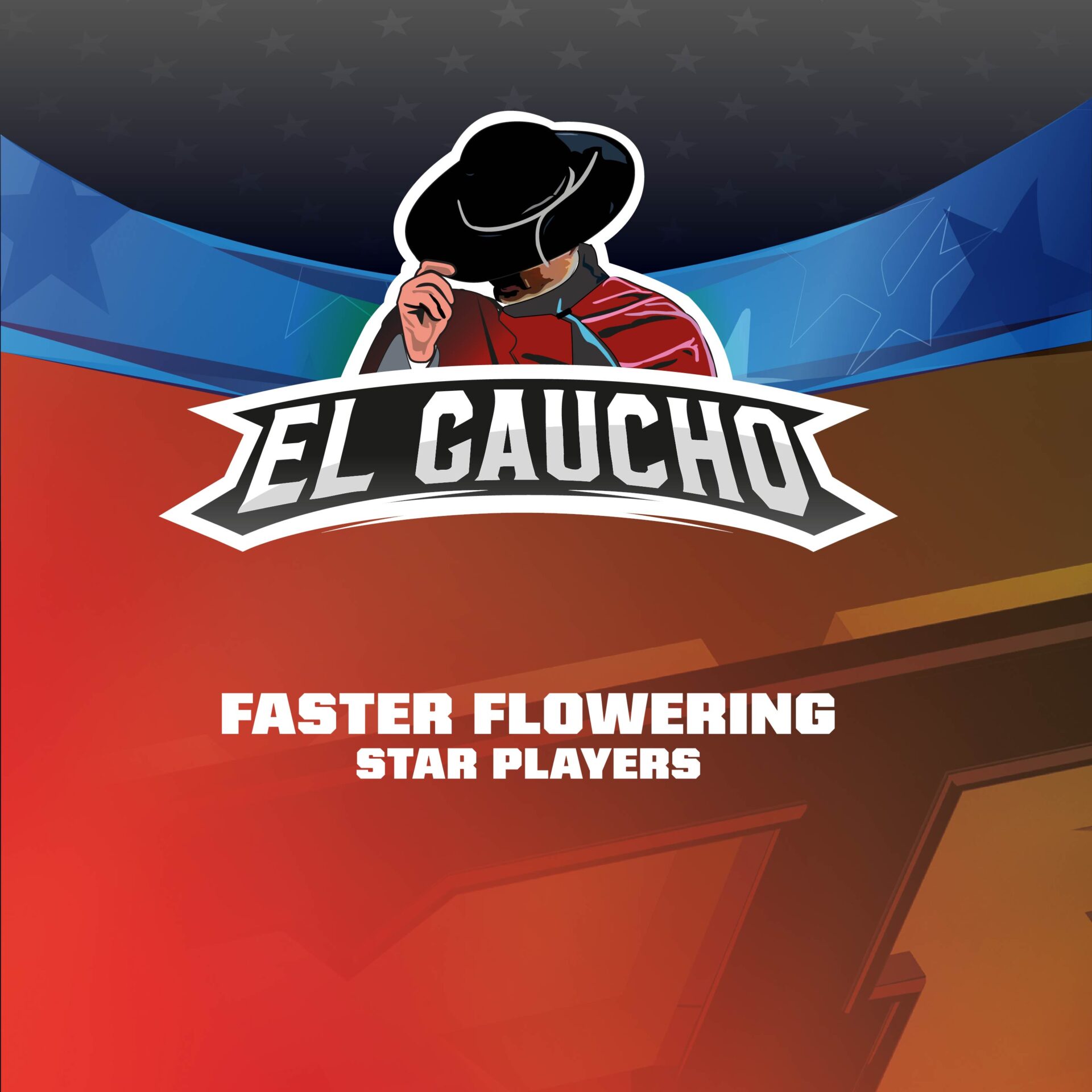 El Gaucho Fem Faster - Imagen 3