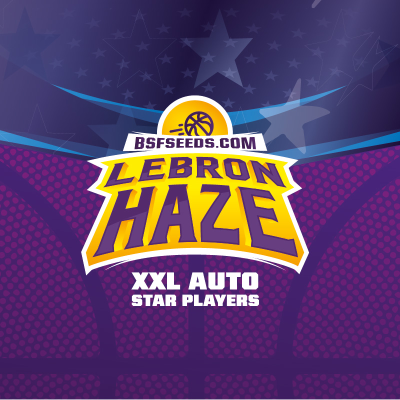 Lebron Haze XXL Auto - Imagen 3