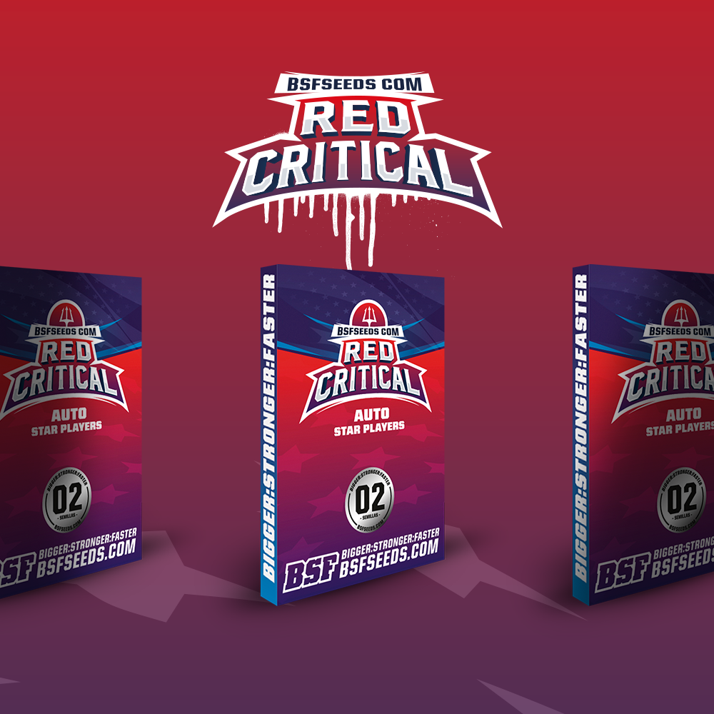 Red Critical Auto - Imagen 3