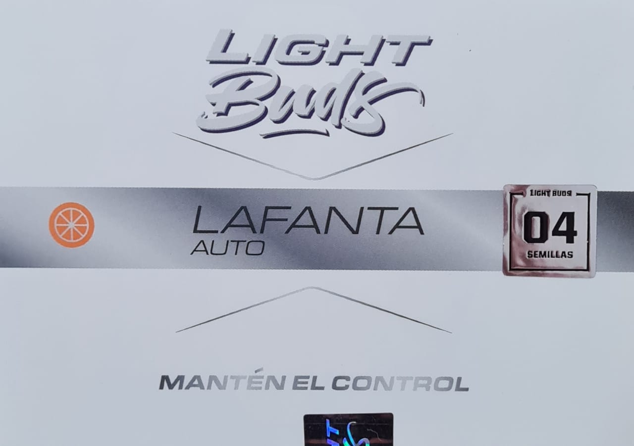 Lafanta Ligth Auto - Imagen 3