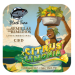 Citrus Limonia CBD - x3