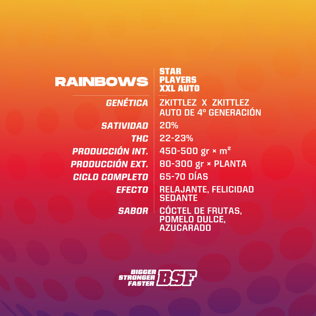 Rainbows XXL Auto - Imagen 3