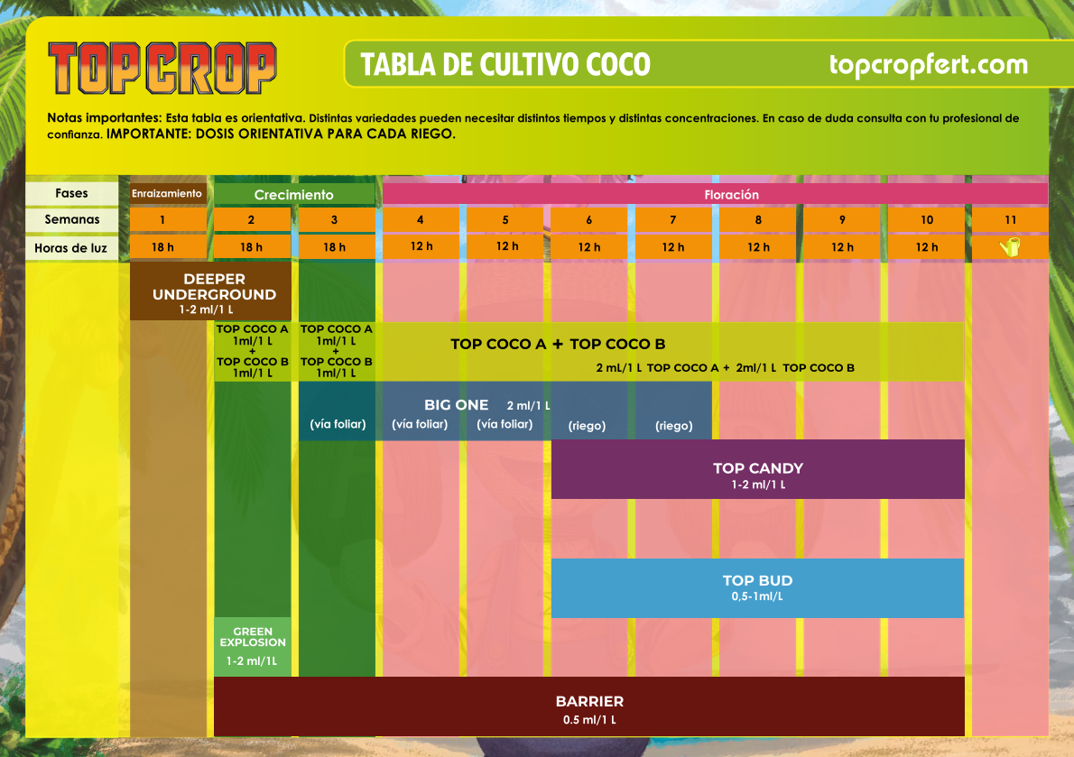 Barrier - Top Crop - Imagen 4