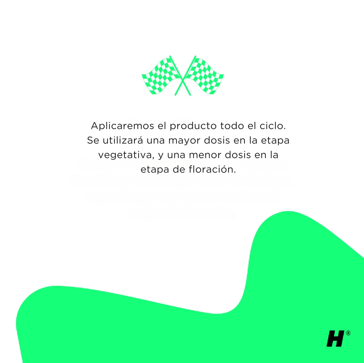 Holistic Race kit - Imagen 3