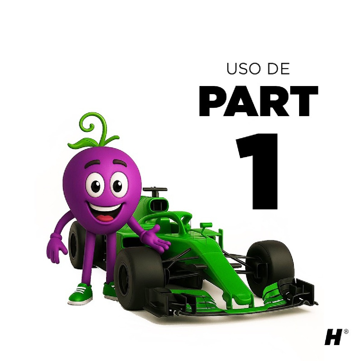 Holistic Race kit - Imagen 2