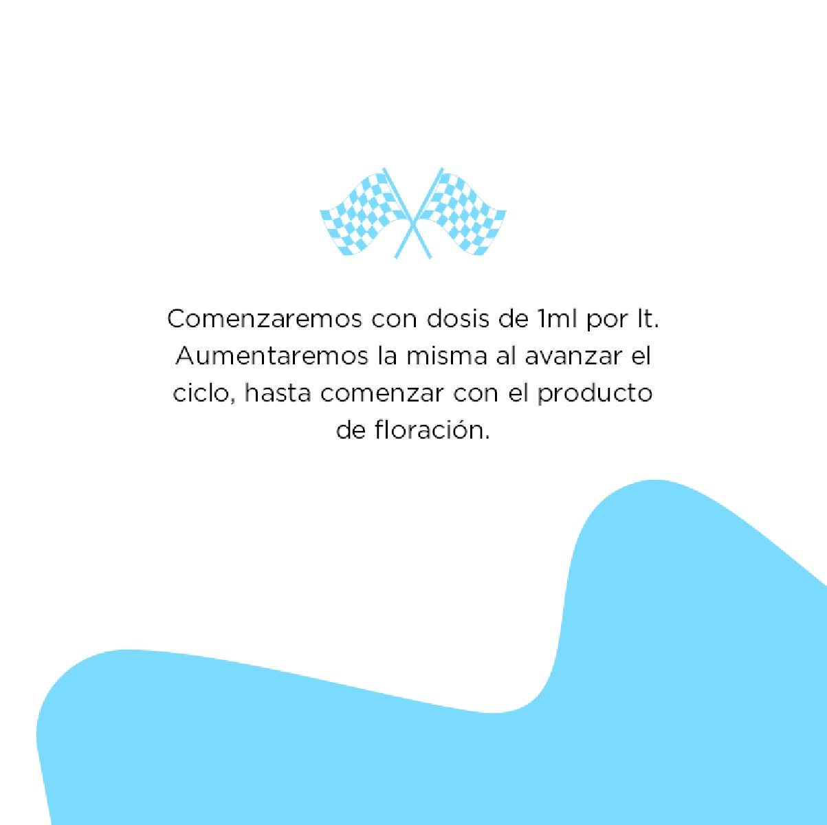 Holistic Race kit - Imagen 5