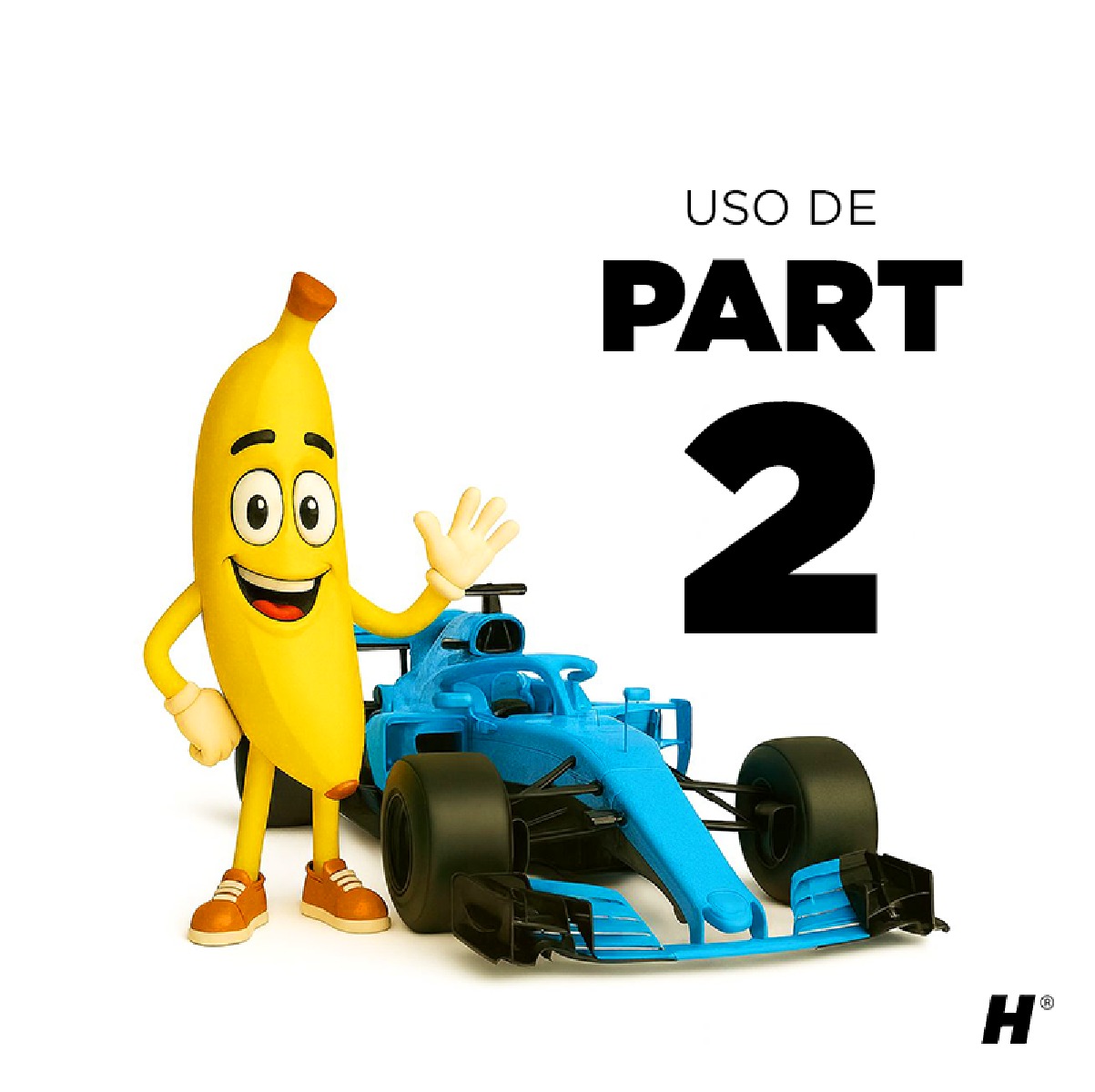 Holistic Race kit - Imagen 4