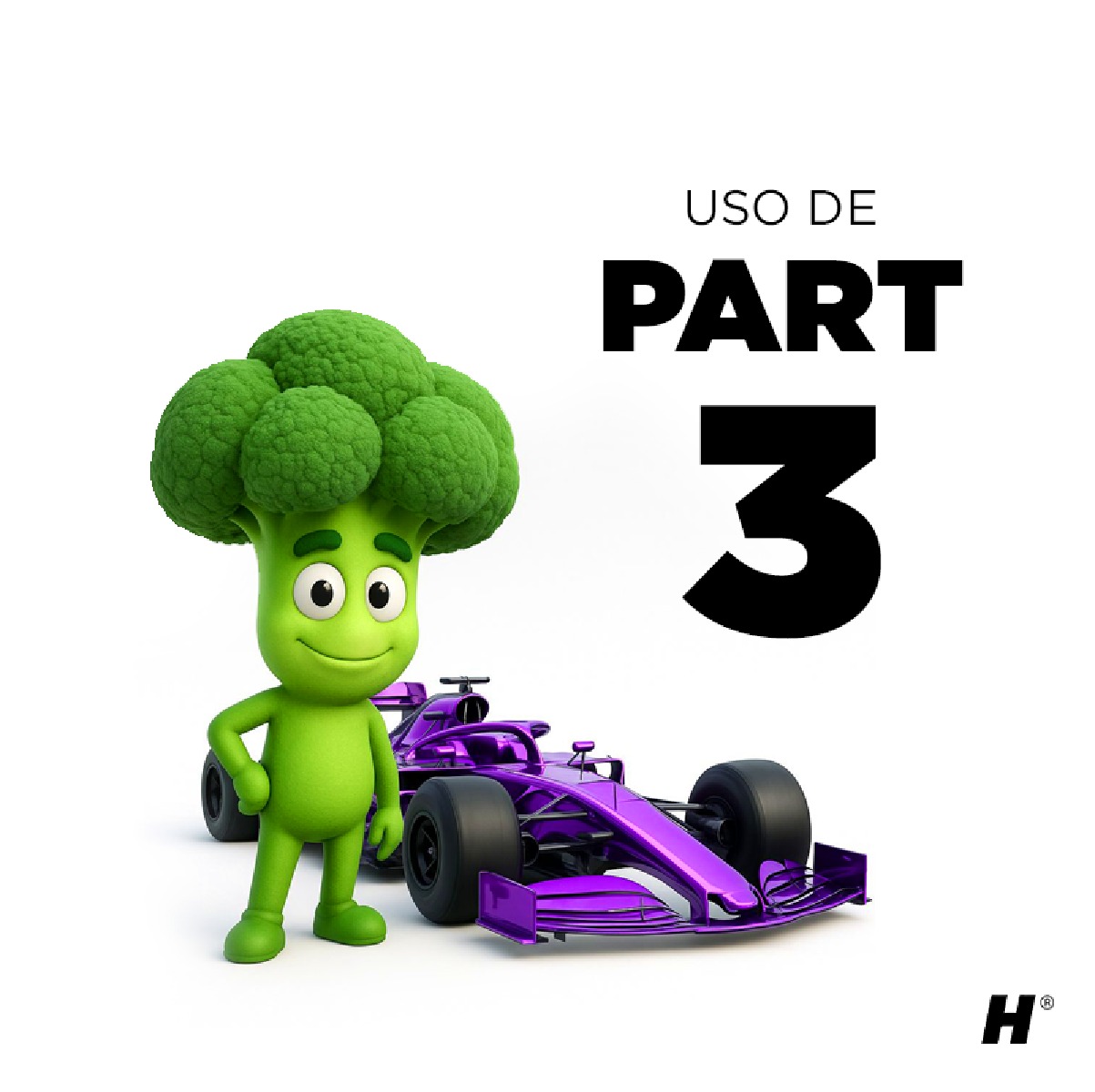 Holistic Race kit - Imagen 6