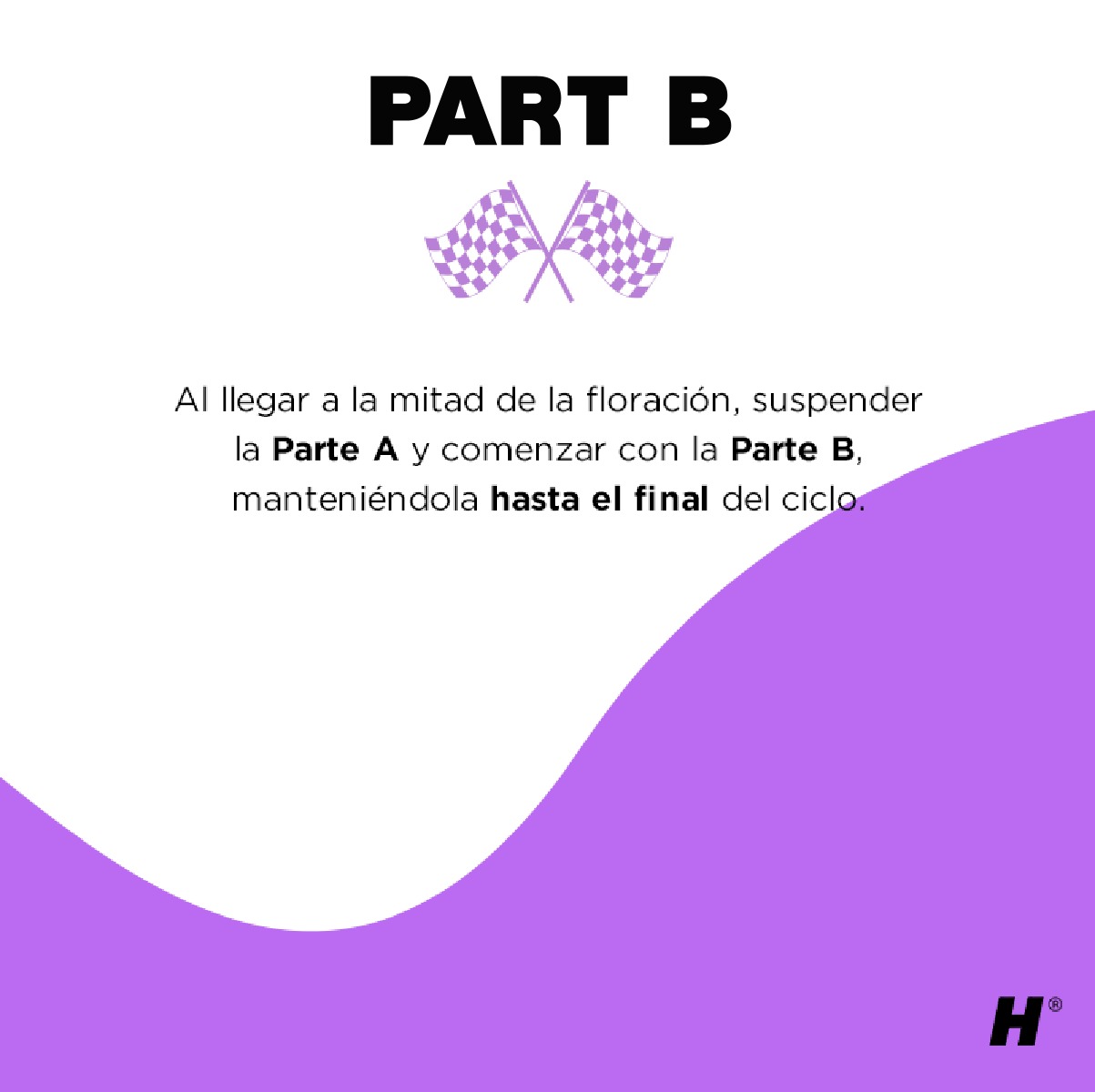 Holistic Race kit - Imagen 8
