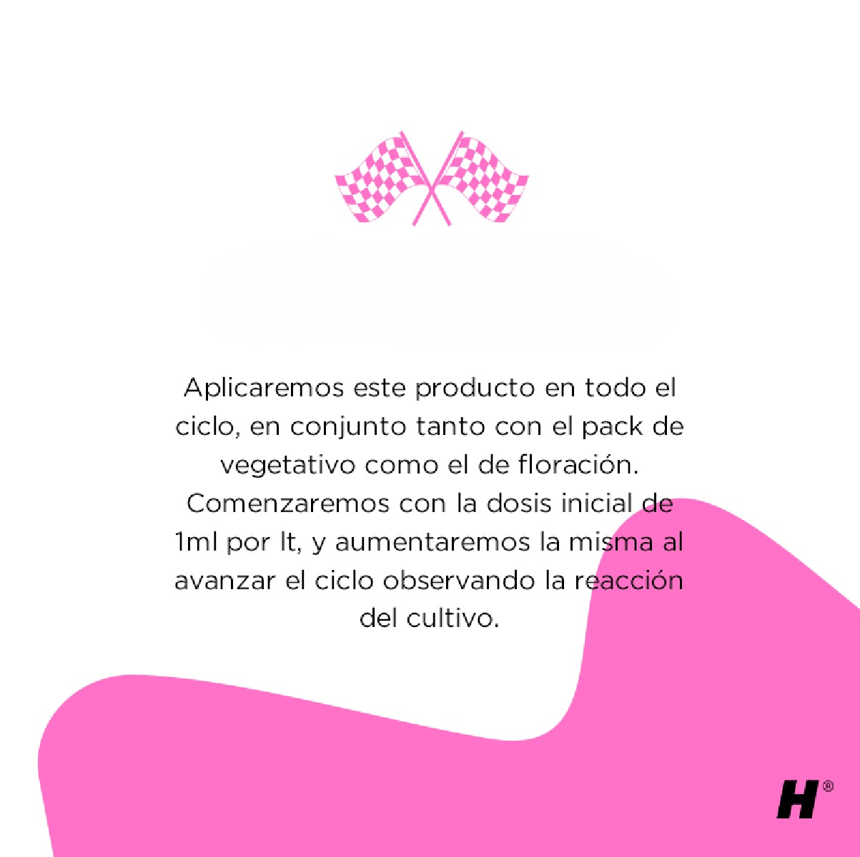 Holistic Race kit - Imagen 10